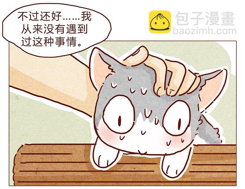 126话 不要怀疑自己的喵生-第127话