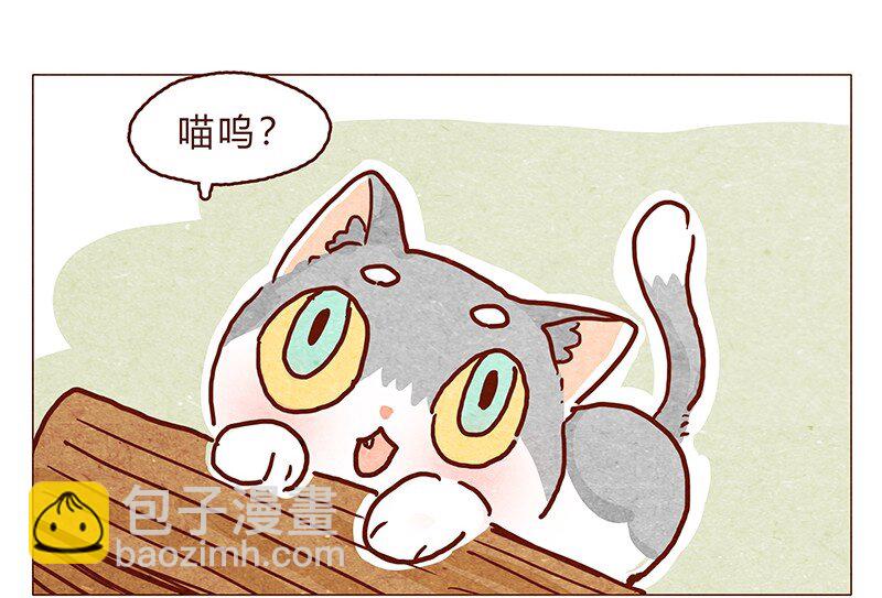 126话 不要怀疑自己的喵生-第127话