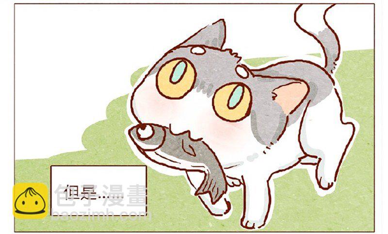 146话 您一生的护卫-第147话