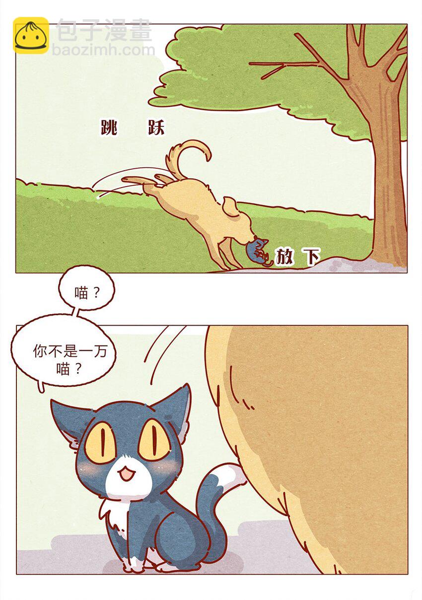 172话 汪来喵去-第173话