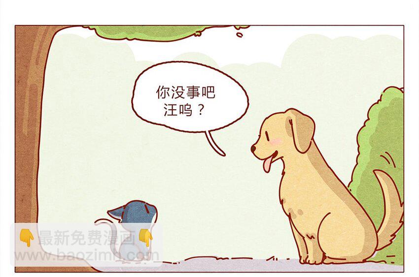 172话 汪来喵去-第173话