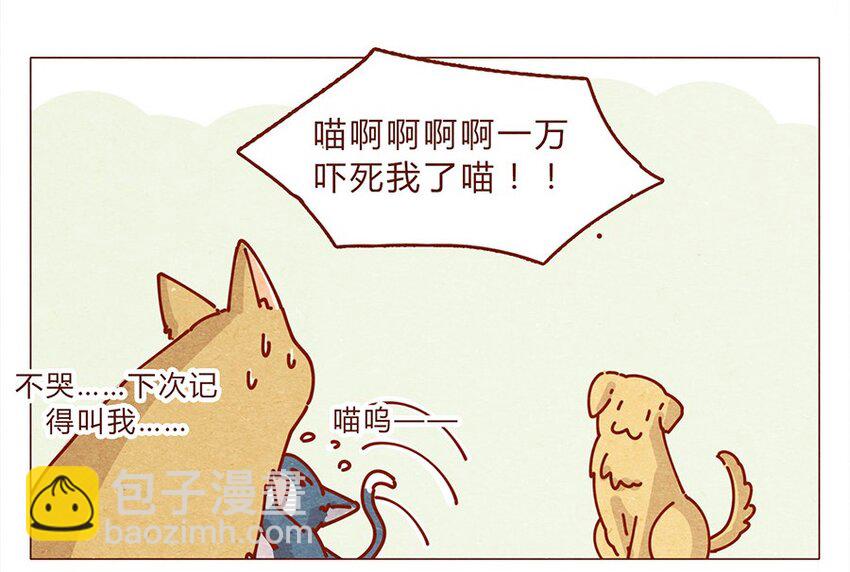 172话 汪来喵去-第173话