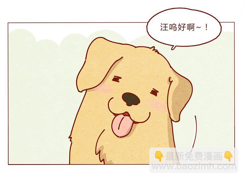 172话 汪来喵去-第173话