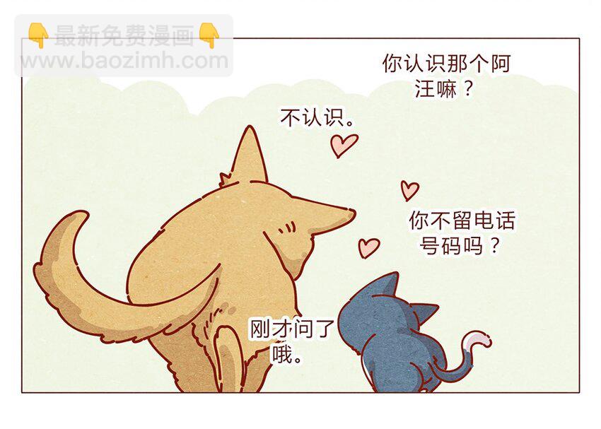 172话 汪来喵去-第173话