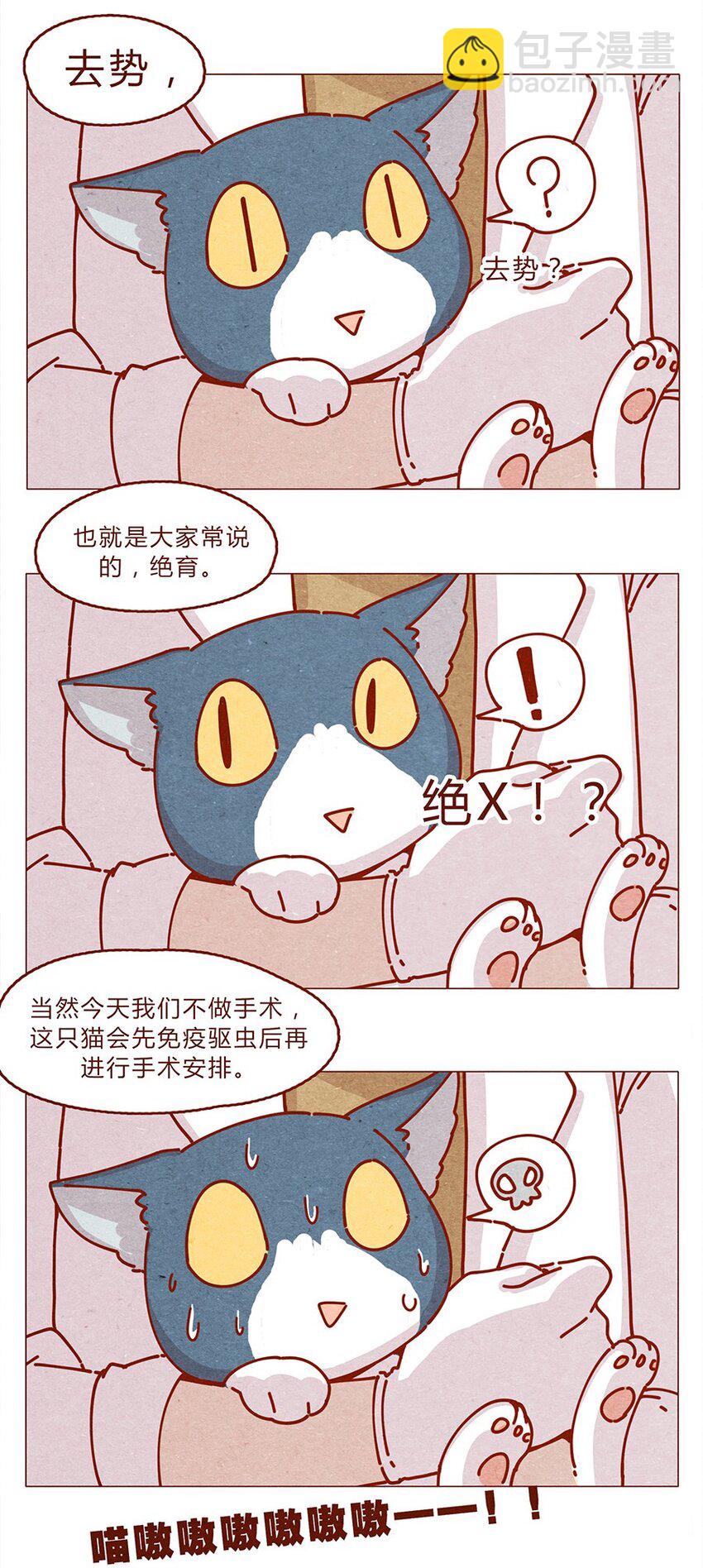 172话 汪来喵去-第173话