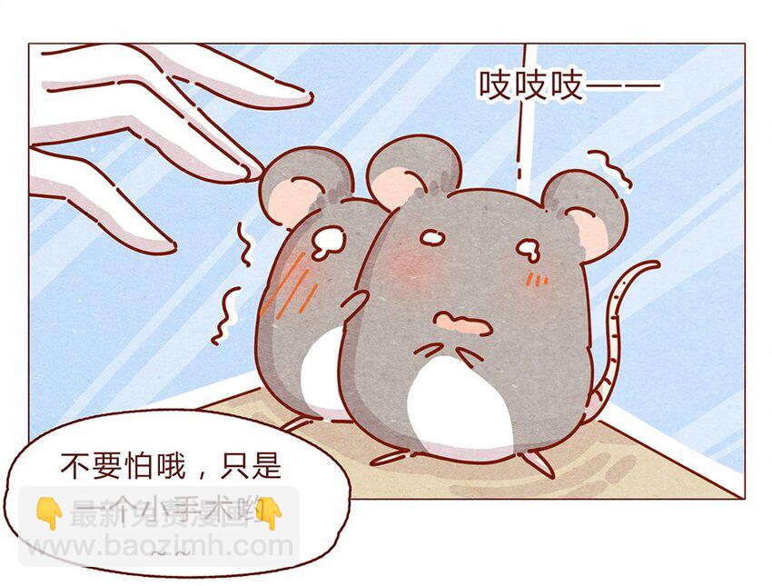 174话 那&hellip;&hellip;谁啊？-第175话