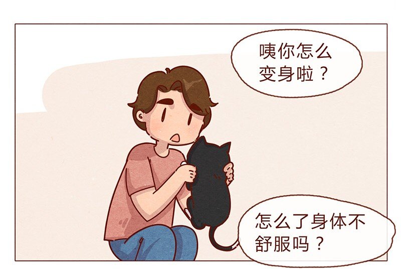 196话 你有别的猫！-第197话