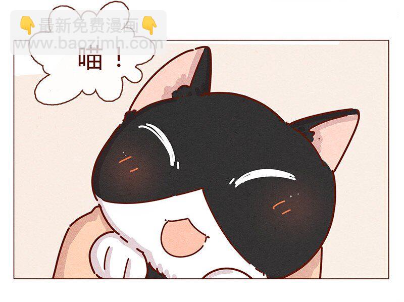 196话 你有别的猫！-第197话