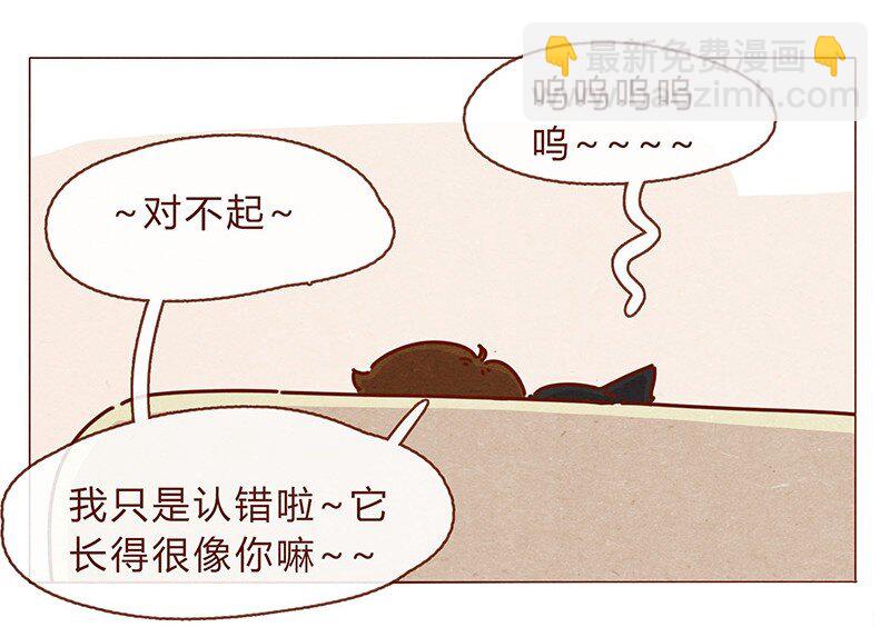 196话 你有别的猫！-第197话