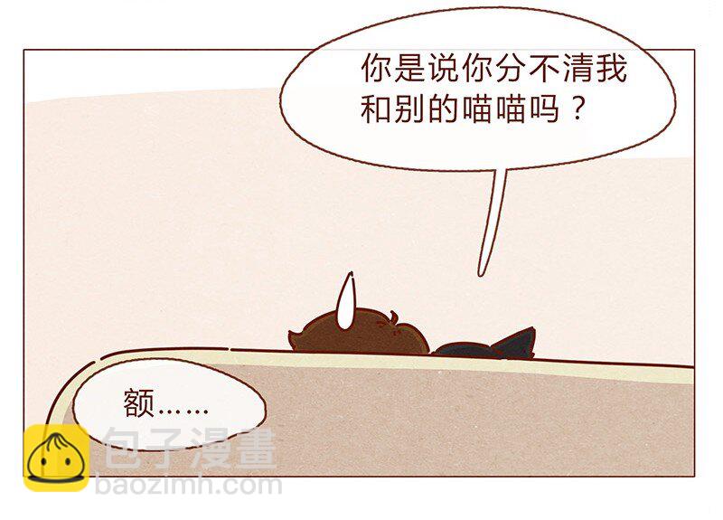 196话 你有别的猫！-第197话