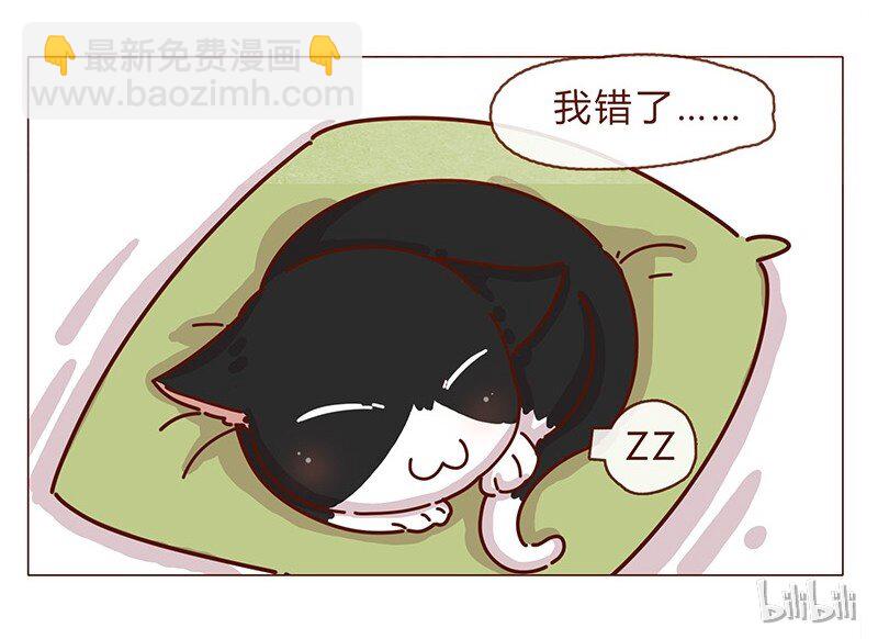 196话 你有别的猫！-第197话