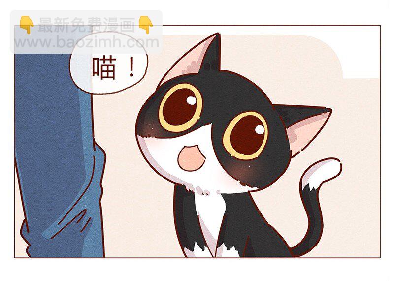 196话 你有别的猫！-第197话