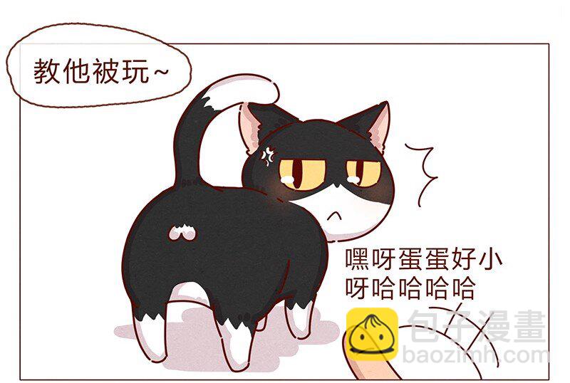 198话 吸猫不如吸淼-第199话
