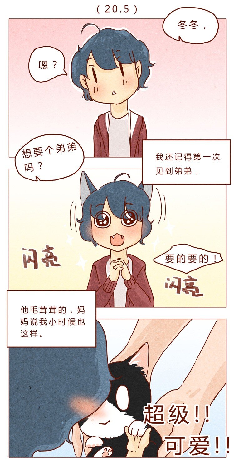 番外 我弟弟超可爱的-第21话