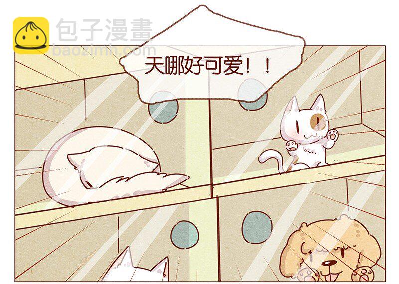202话 领养日好玩吗？-第203话