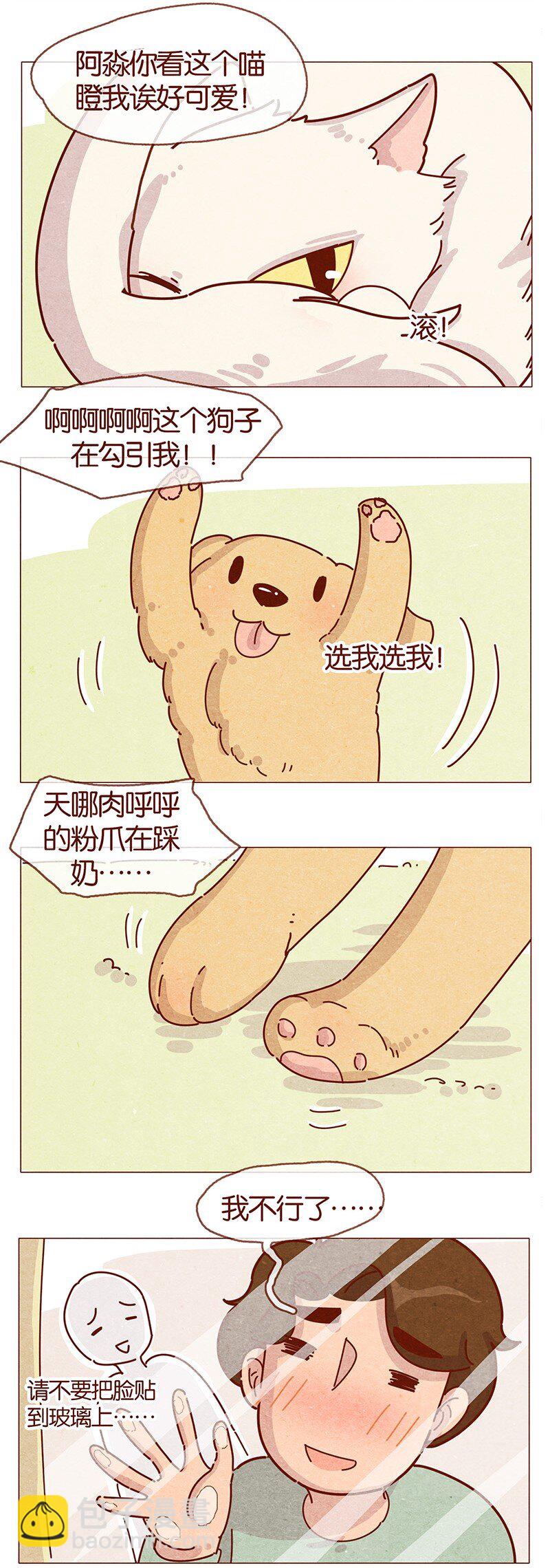 202话 领养日好玩吗？-第203话