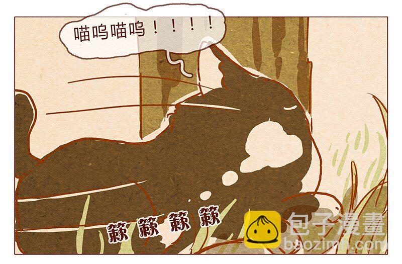 第78话 人类也有不坏的么？-第79话