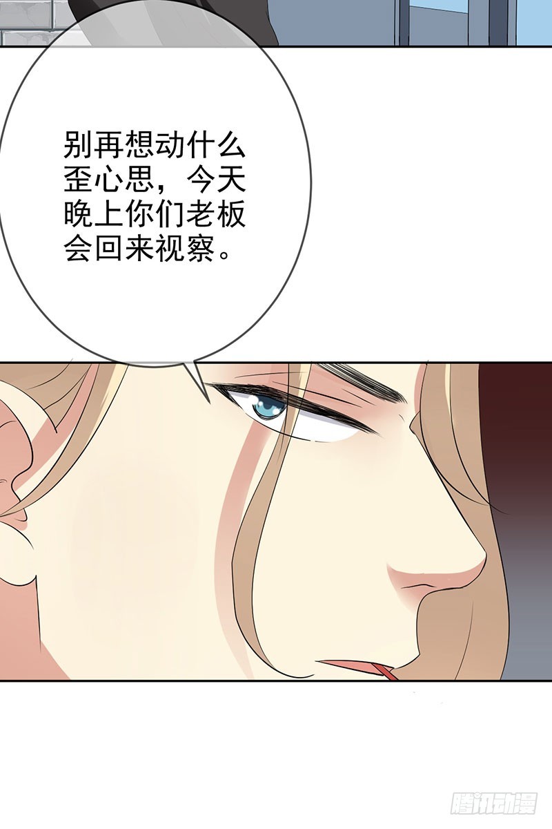 第64话:管罪犯还是当教练？-第65话