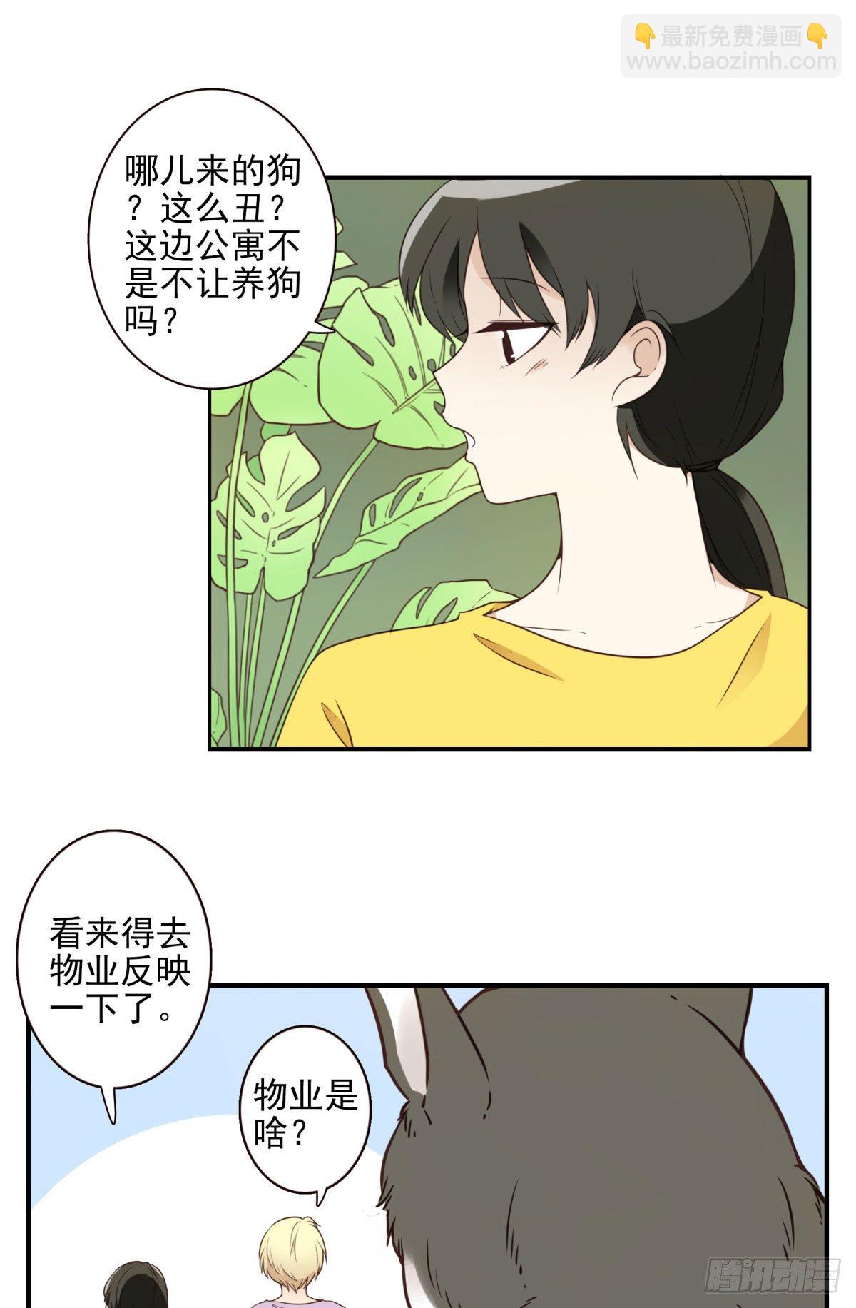 006-好丑的狗-第7话