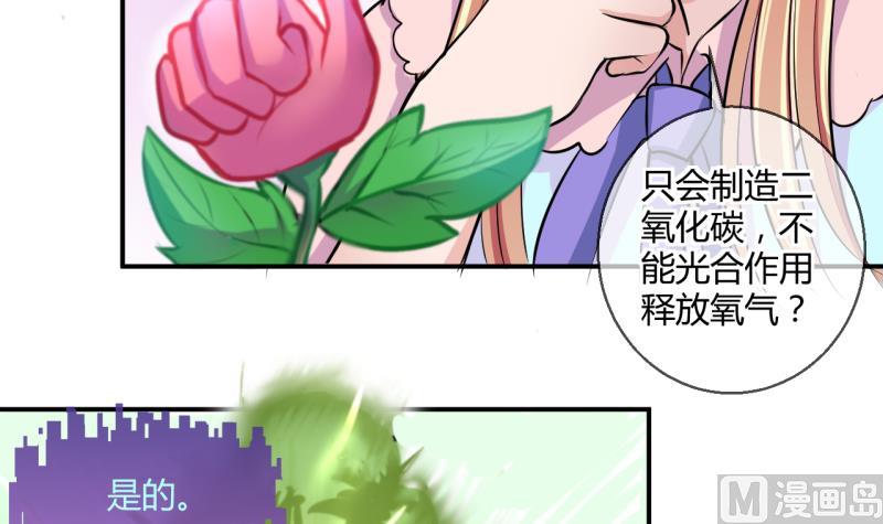 第29话 神奇的交易物品 1-第29话