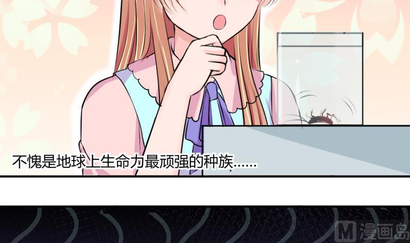 第29话 神奇的交易物品 1-第29话