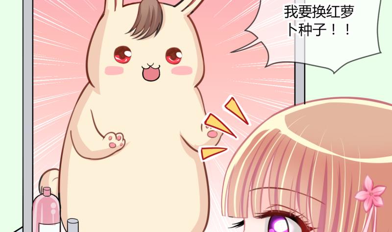 第55话 兔子先生的交易物品 1-第55话