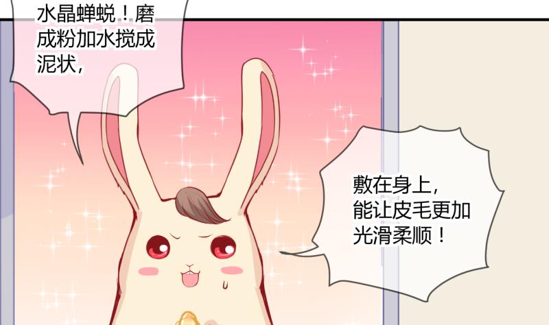 第55话 兔子先生的交易物品 1-第55话