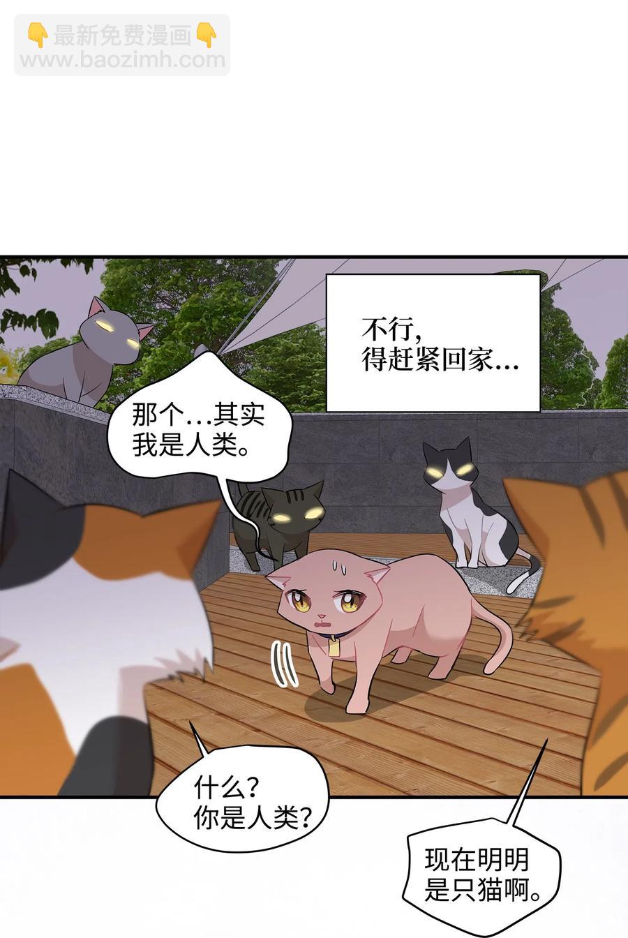 21 权主任的家(1/2)-第21话