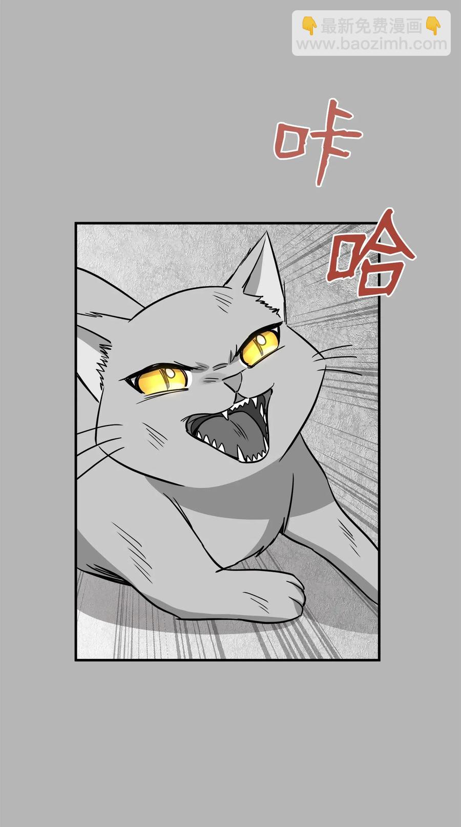 41 美美(1/2)-第41话