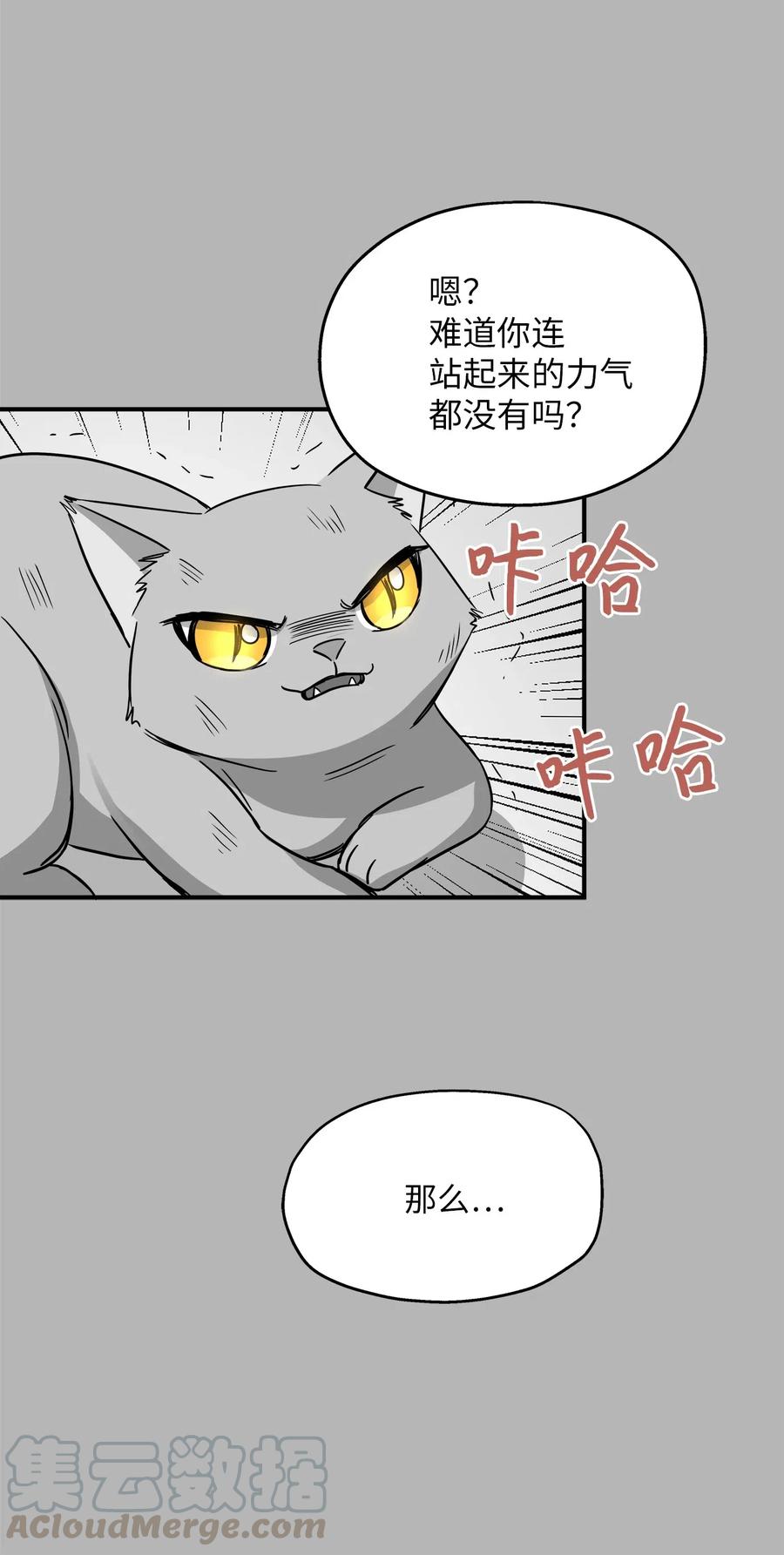 41 美美(1/2)-第41话