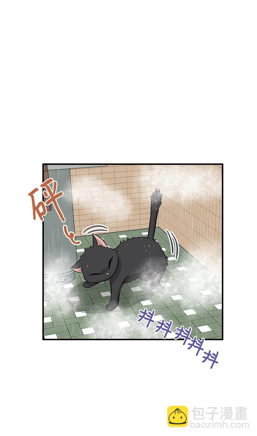 55 两只猫(1/2)-第55话