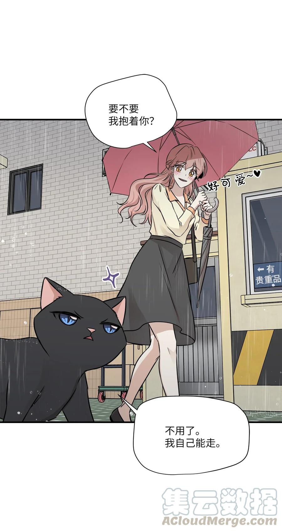 55 两只猫(1/2)-第55话