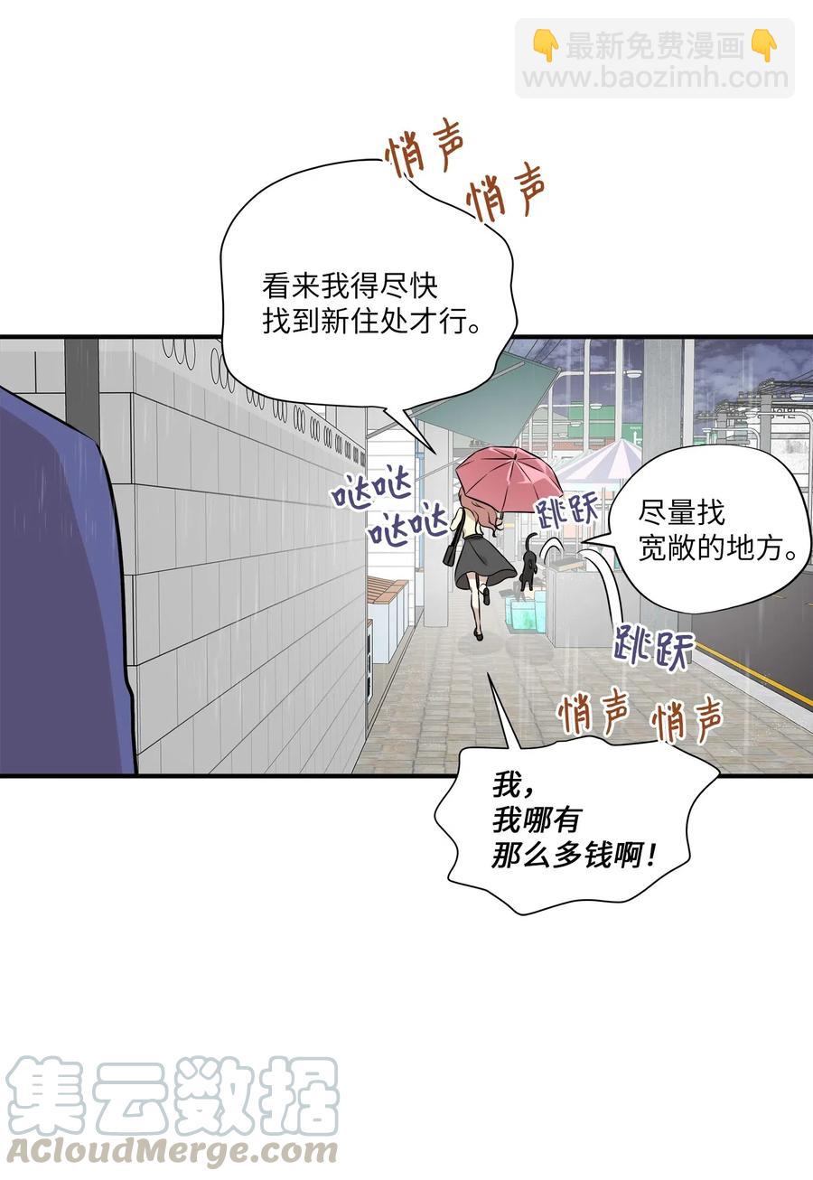 55 两只猫(1/2)-第55话