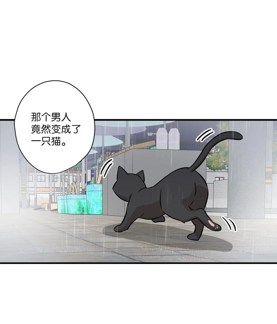 55 两只猫(1/2)-第55话