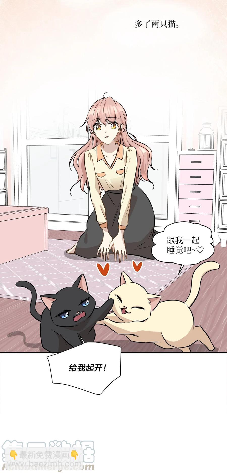 55 两只猫(1/2)-第55话