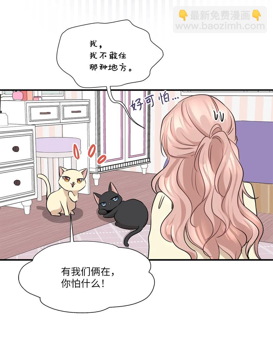 55 两只猫(1/2)-第55话
