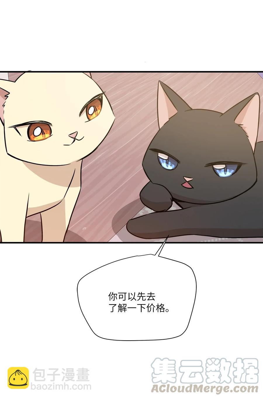 55 两只猫(1/2)-第55话