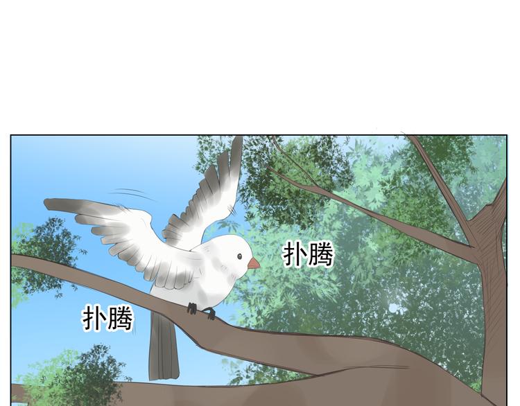 🍘危险恋爱 第8话 男明星的车内交易 第33页