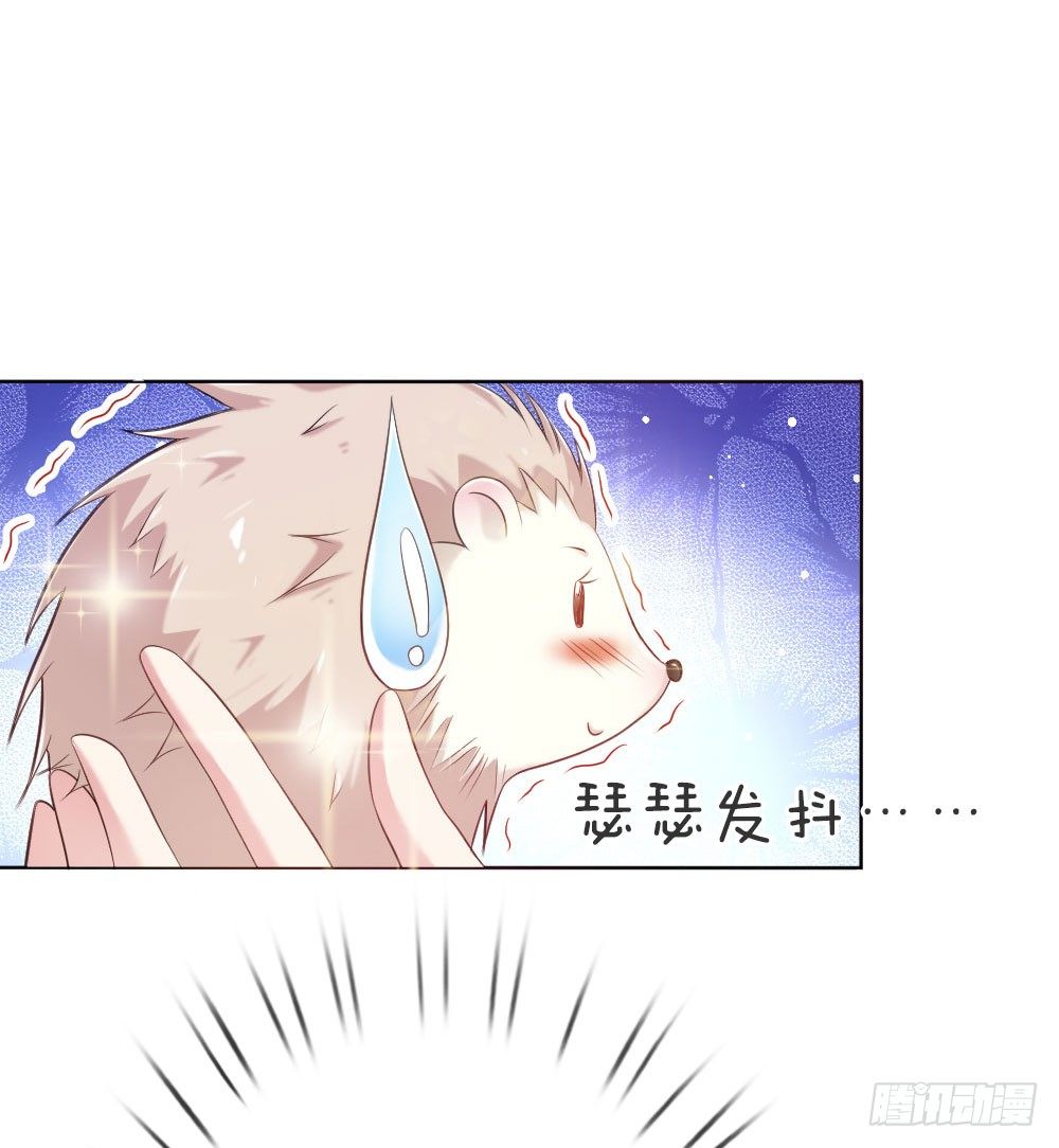 第5话 刺猬&mdash;本命护体-第5话