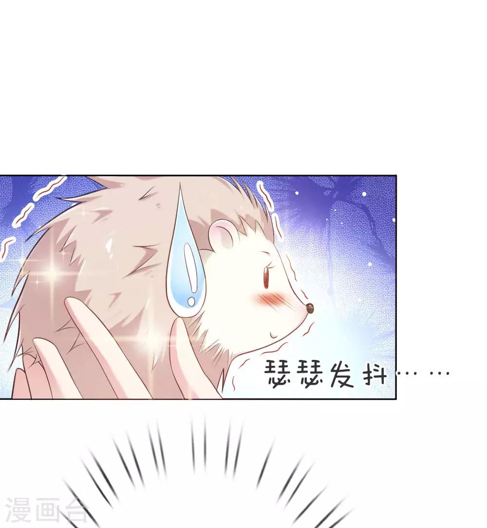 第5话 刺猬&mdash;本命护体-第5话