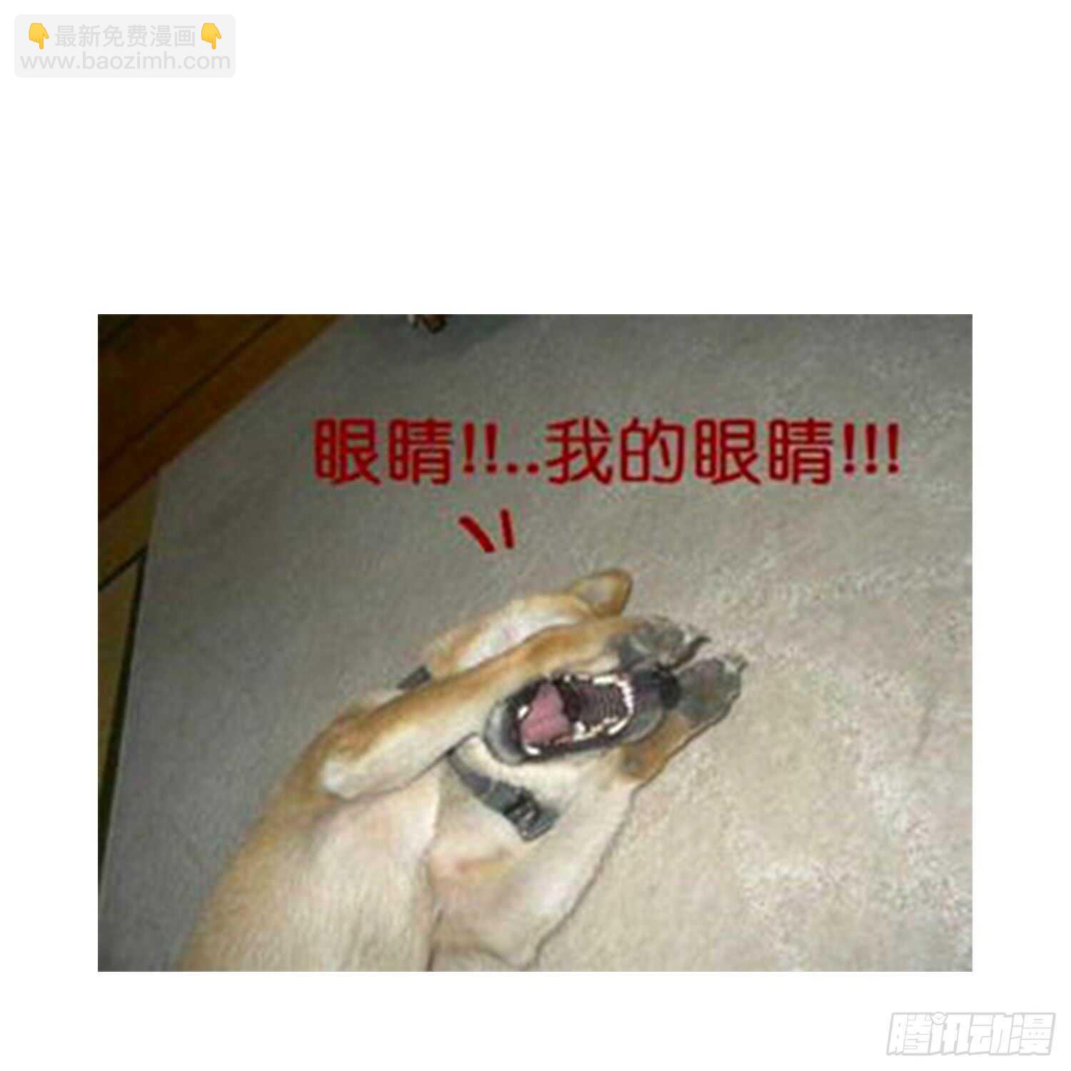 第149话 眼睛无处不在-第149话