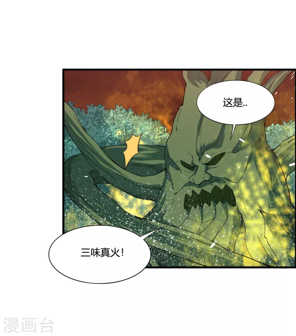 🍘我把天道修歪了 第53话 困在同一片树林的两个人 第2页
