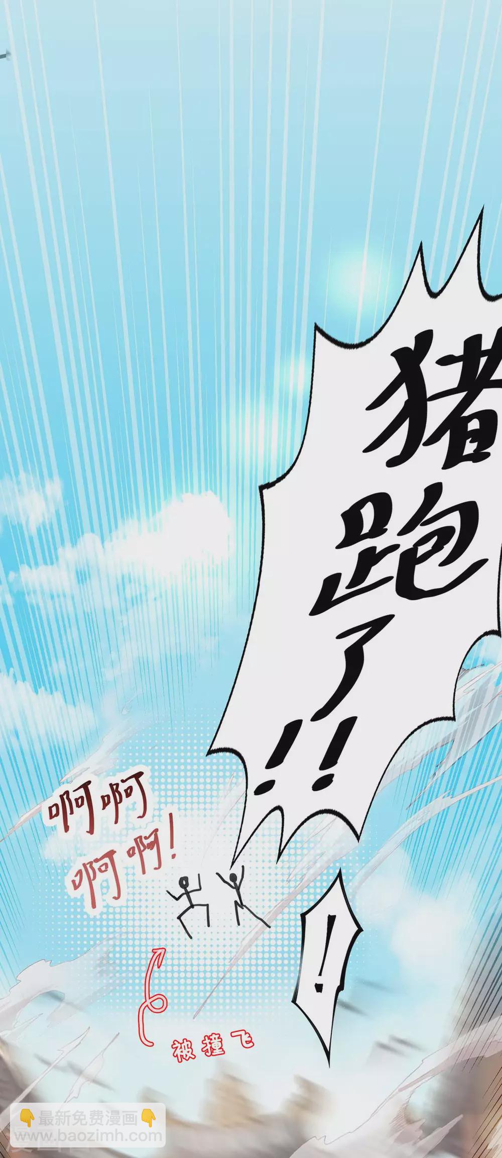 第17话 猪跑了-第17话