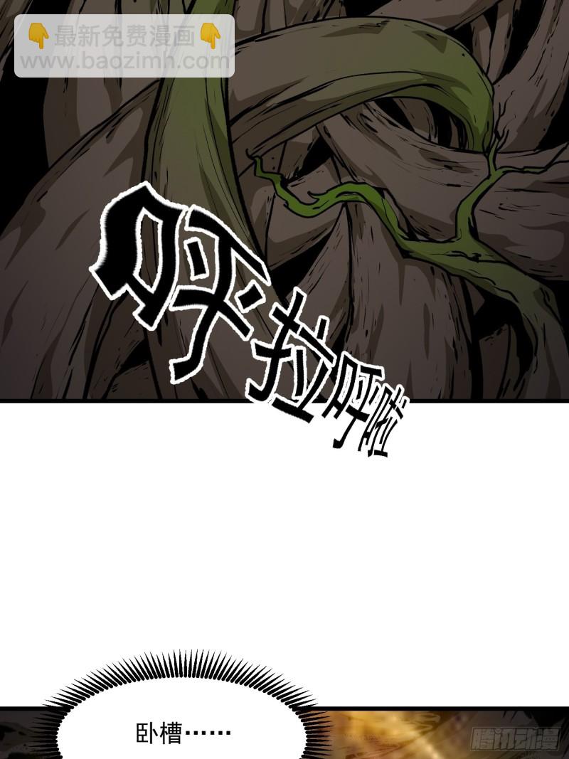 第77话 一切为了林大师！！-第77话