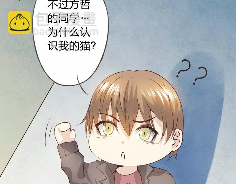 第30话 告白？！(1/3)-第31话