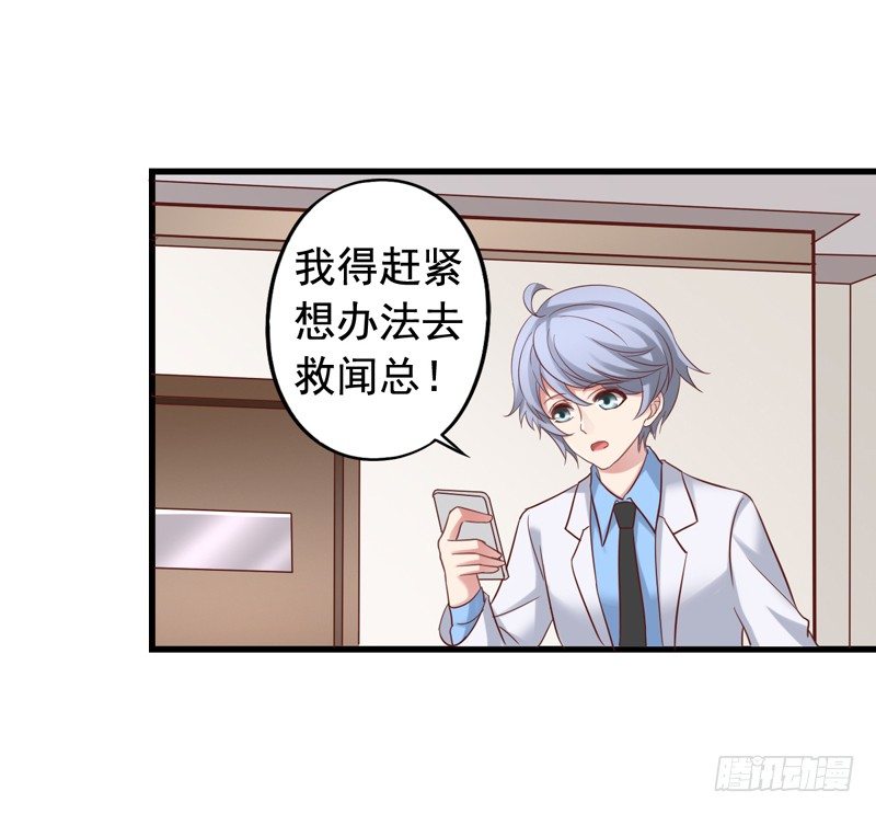 第37回 慒逼的小栗子-第37话