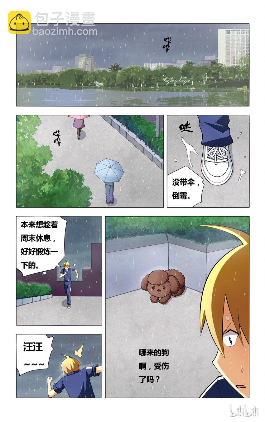 5 误会 狗 以及雨天-第5话