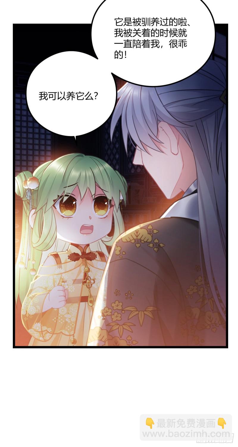 第62话 养蛇么-第63话