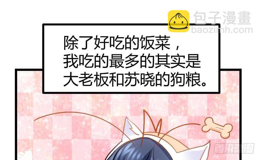 番外，苏晓的助理（完）(1/2)-第155话