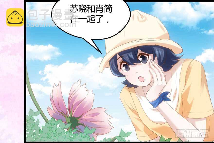 番外，苏晓的助理（完）(1/2)-第155话